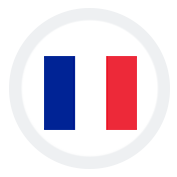 SEO Services in France
